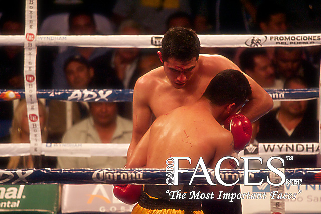 ©www.cabofaces.net Photography